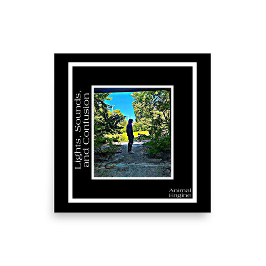 Lights, Sounds, and Confusion Album Art Poster